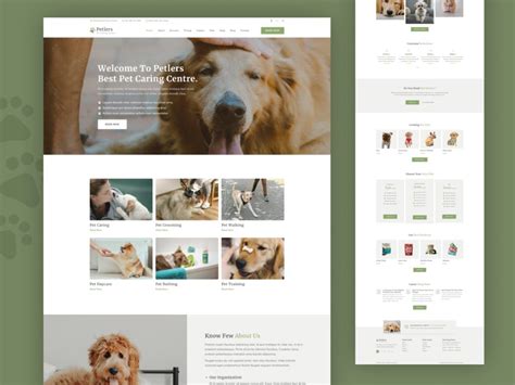 template by devhunters.com|369+ Free Website Templates by TemplatesJungle.